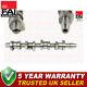 Fai Camshaft Fits Vw Audi Skoda Seat Ford 1.9 Tdi + Other Models #2